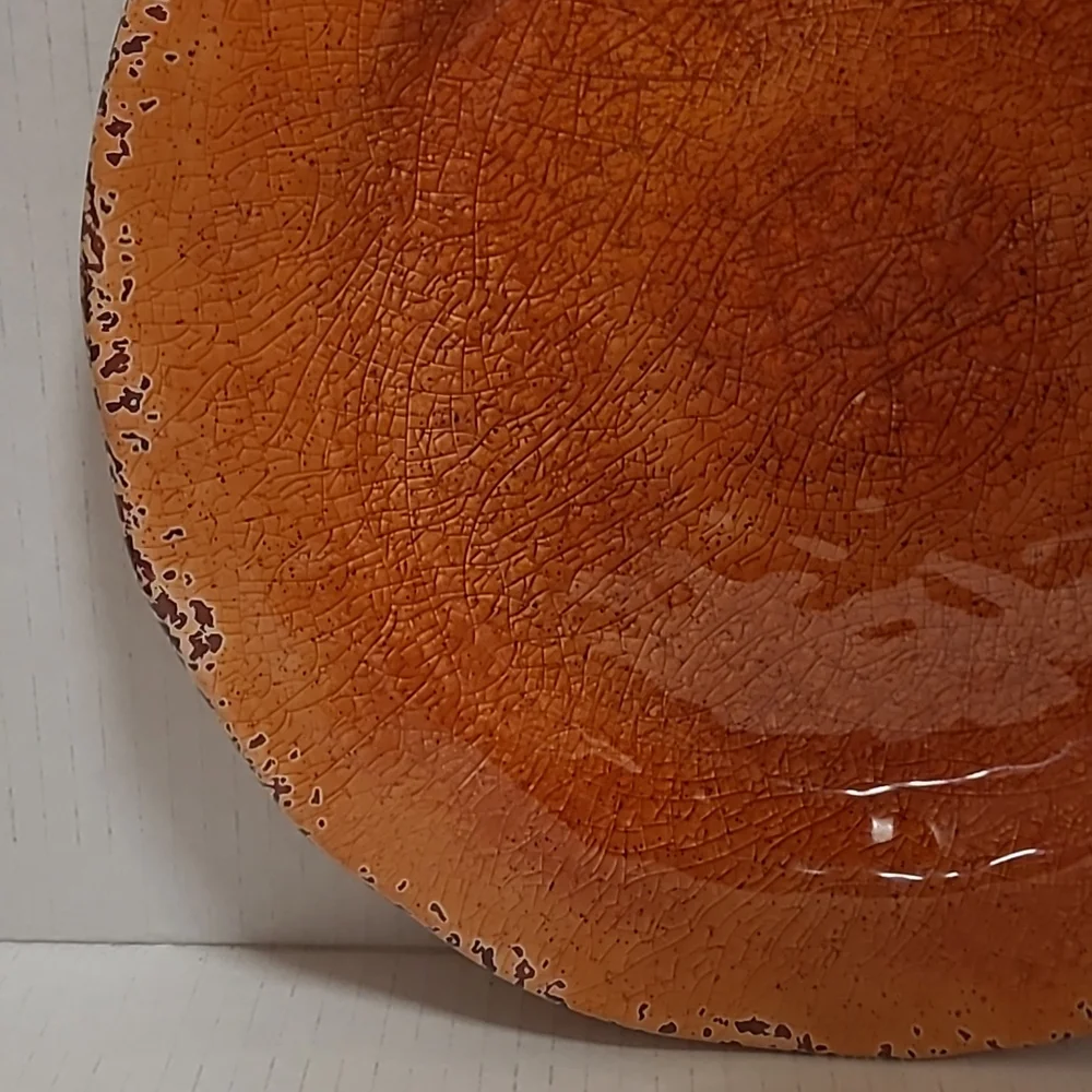 NWT Pair of Pier 1 Carmelo Melamine Plates